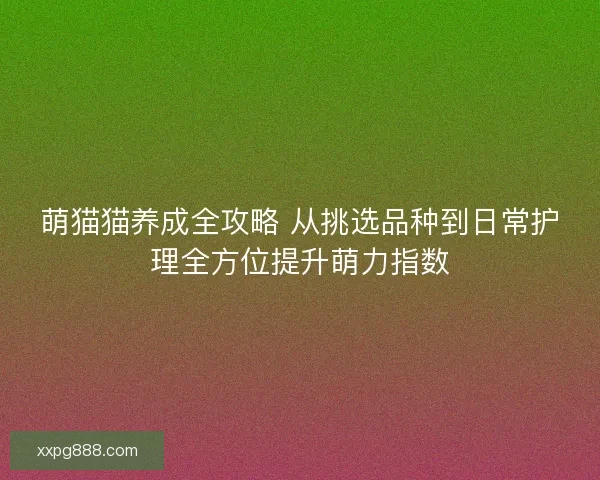 萌猫猫养成全攻略 从挑选品种到日常护理全方位提升萌力指数